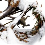 Life of the Past Paleontology Book Kindle Edition 330 Pages-0