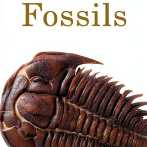 Golden Guides Rocks Minerals Field Guide Kindle Edition-0