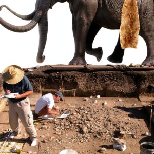 Texas A&M University Press Kindle Book Biological Science-0