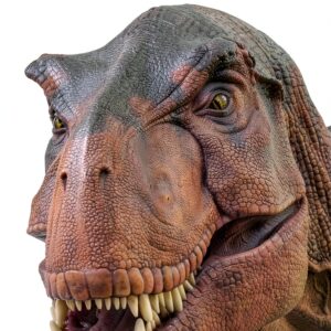 R E Knight Dinosaur Book Kindle Biological Science Fossils-0