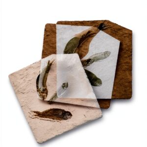 University of Chicago Press Paleontology eBook Second-0